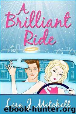 A Brilliant Ride by Lisa J. Mitchell
