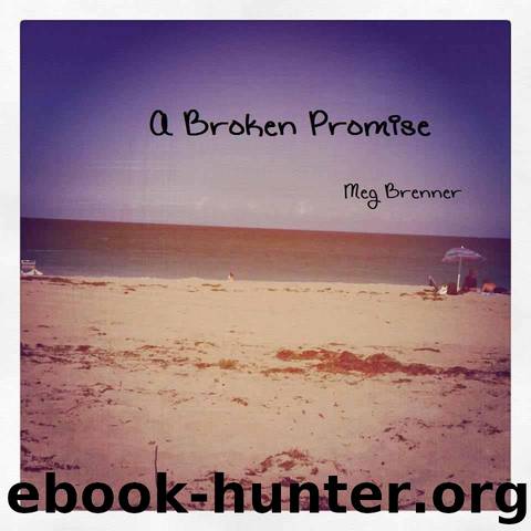 A Broken Promise by Brenner Meg