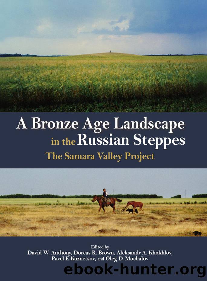 A Bronze Age Landscape in the Russian Steppes by unknow