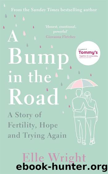 A Bump in the Road by Elle Wright