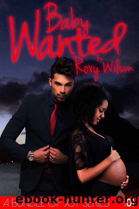 A Bundle of Joy 1: Baby Wanted (BWWM Interracial Romance) by Roxy Wilson
