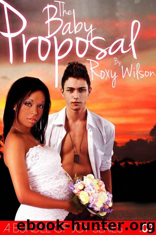 A Bundle of Joy 2: The Baby Proposal (BWWM Interracial Romance) by Roxy Wilson