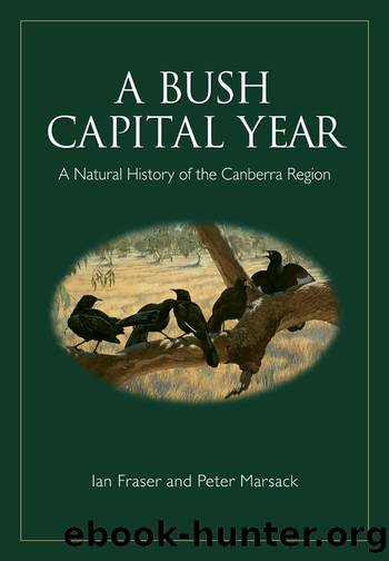 A Bush Capital Year by Fraser Ian;Marsack Peter;