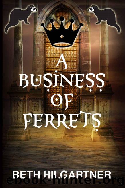 A Business of Ferrets (Bharaghlafi Book 1) by Hilgartner Beth