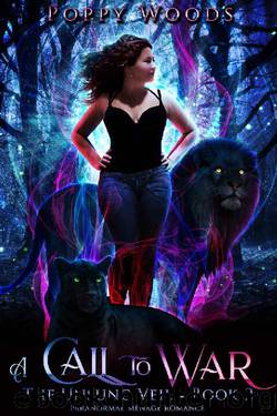 A Call To War: Paranormal Menage Romance (Unsung Veil Book 2) by Poppy Woods