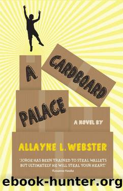 A Cardboard Palace by Allayne L. Webster