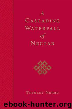 A Cascading Waterfall of Nectar by Norbu Rinpoche Thinley