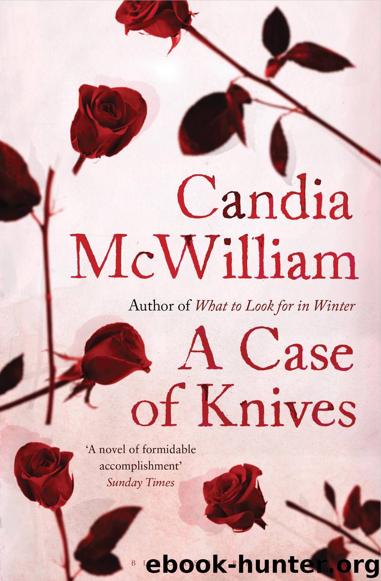 A Case of Knives by Candia McWilliam