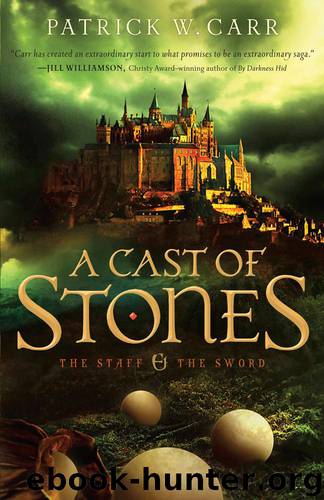 A Cast of Stones by Patrick W. Carr