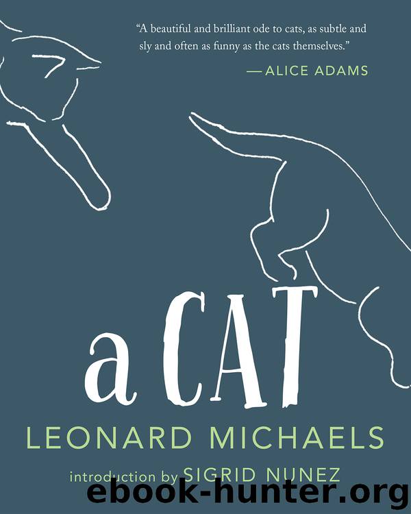 A Cat by Leonard Michaels