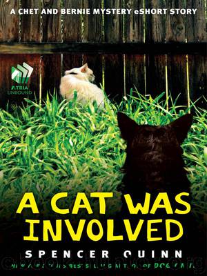 A Cat was Involved by Spencer Quinn