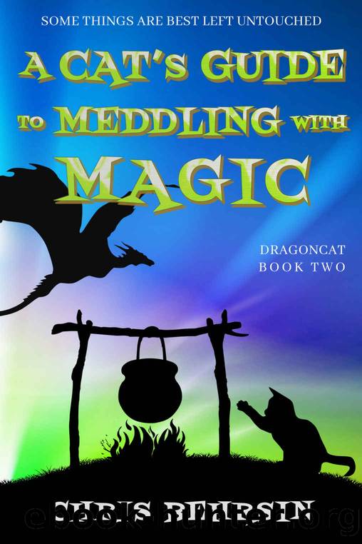 A Cat's Guide to Meddling with Magic: A Light-hearted Humorous Fantasy Adventure (Dragoncat Book 2) by Chris Behrsin