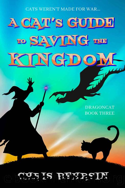 A Cat's Guide to Saving the Kingdom: A Humorous Fantasy Adventure (Dragoncat Book 3) by Chris Behrsin