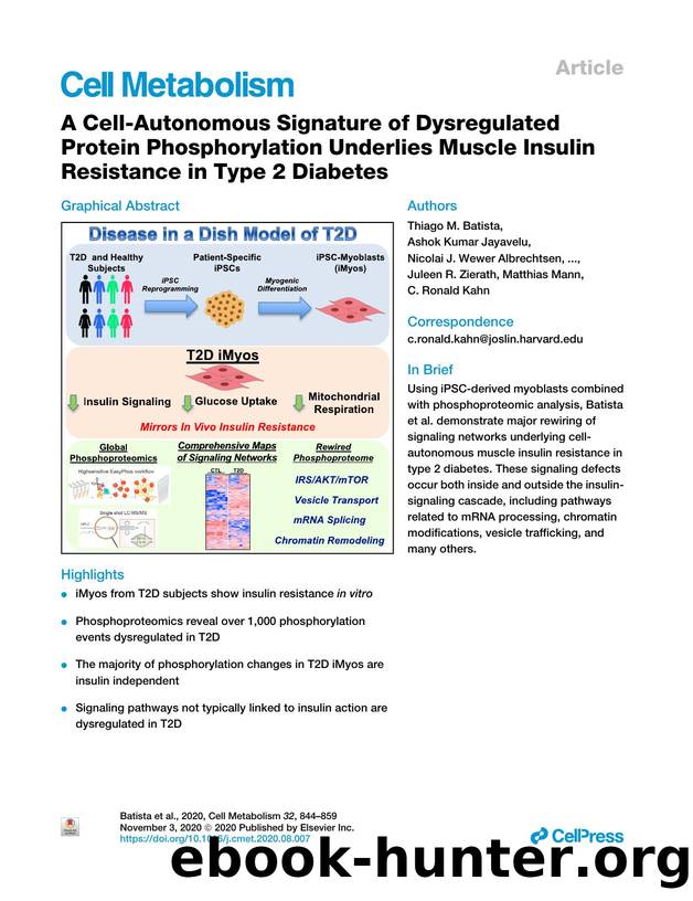 A Cell-Autonomous Signature of Dysregulated Protein Phosphorylation Underlies Muscle Insulin Resistance in Type 2 Diabetes by unknow