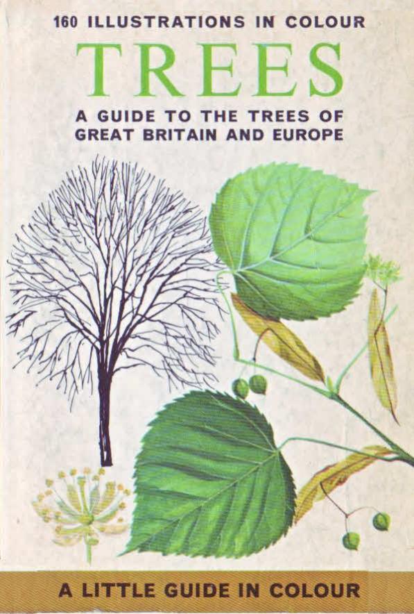 A Century of Forest Resources Education at Penn State: Serving Our Forests, Waters, Wildlife, and Wood Industries by Henry D. Gerhold