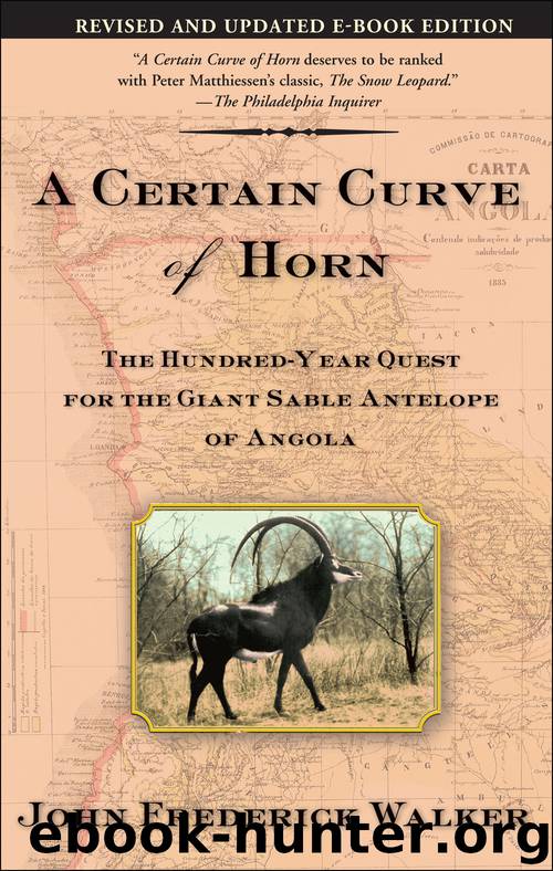 A Certain Curve of Horn by John Frederick Walker