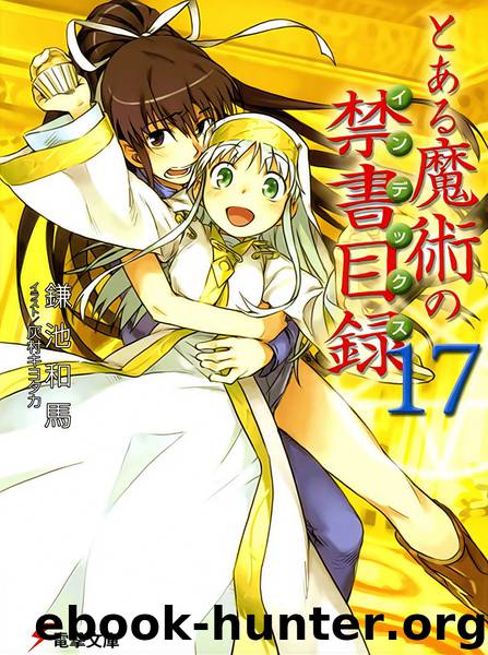 A Certain Magical Index Vol. 17 by Kazuma Kamachi