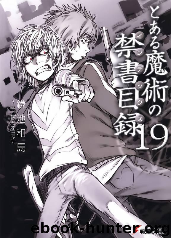 A Certain Magical Index Vol. 19 by Kazuma Kamachi