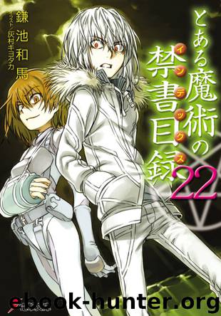 A Certain Magical Index Vol. 22 by Kazuma Kamachi
