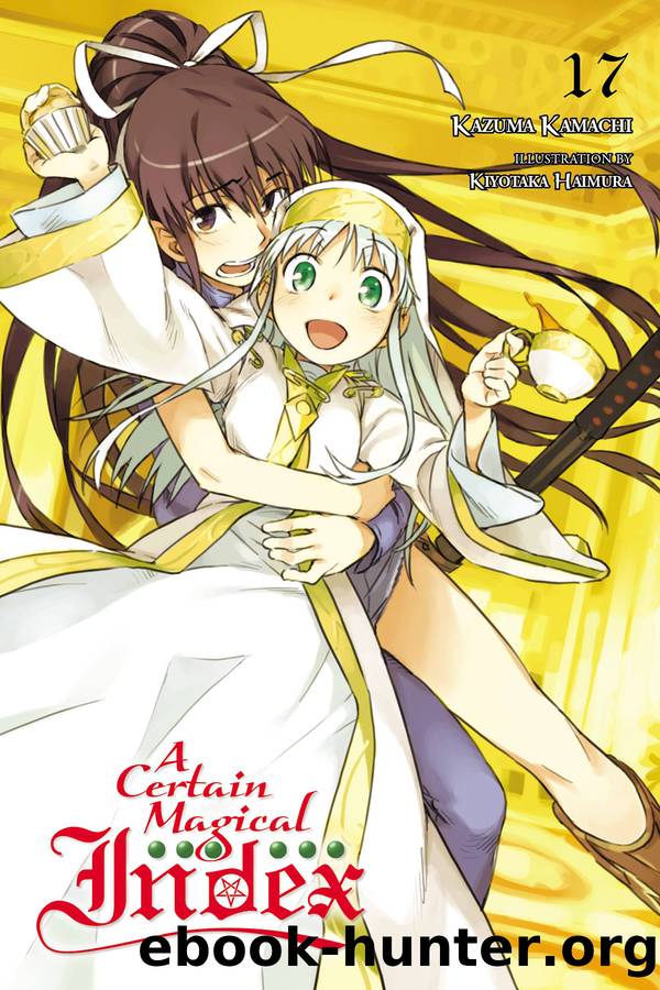 A Certain Magical Index, Vol. 17 by Kazuma Kamachi