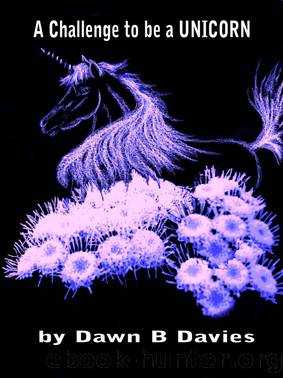 A Challenge to be a Unicorn by Dawn B Davies