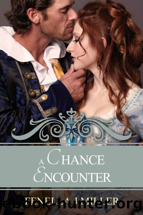 A Chance Encounter by Fenella J Miller