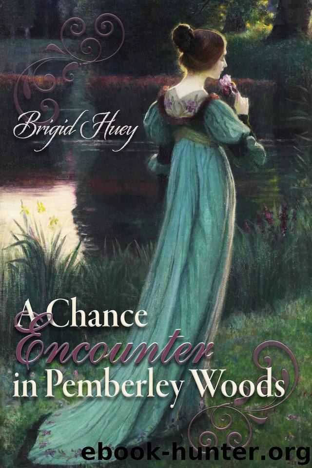 A Chance Encounter in Pemberley Woods by Brigid Huey