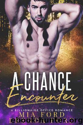 A Chance Encounter: A Billionaire Office Romance by Mia Ford & Brenda Ford