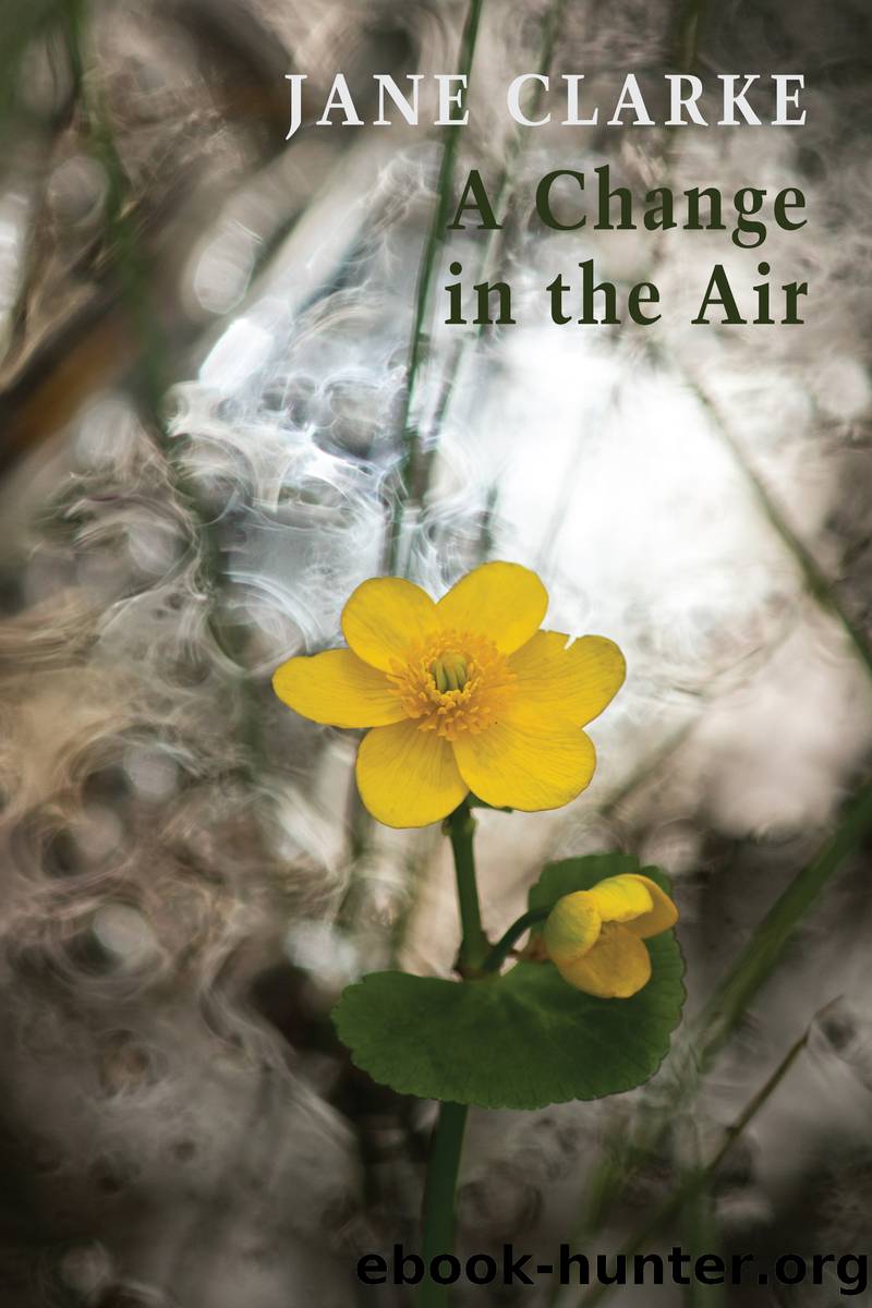 A Change in the Air by Jane Clarke