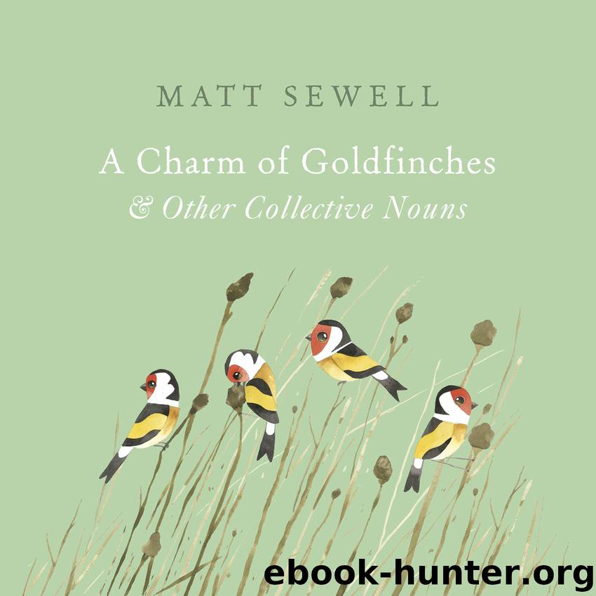 A Charm of Goldfinches and Other Collective Nouns by Matt Sewell