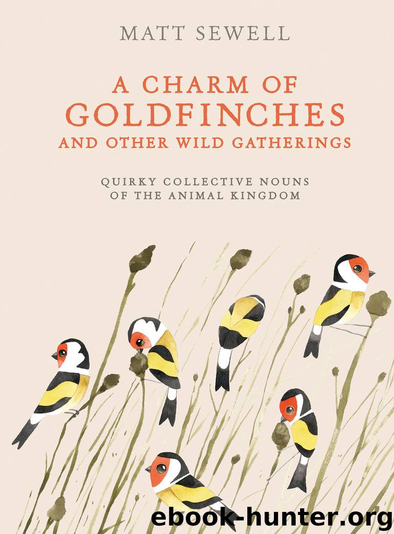 A Charm of Goldfinches and Other Wild Gatherings by Matt Sewell