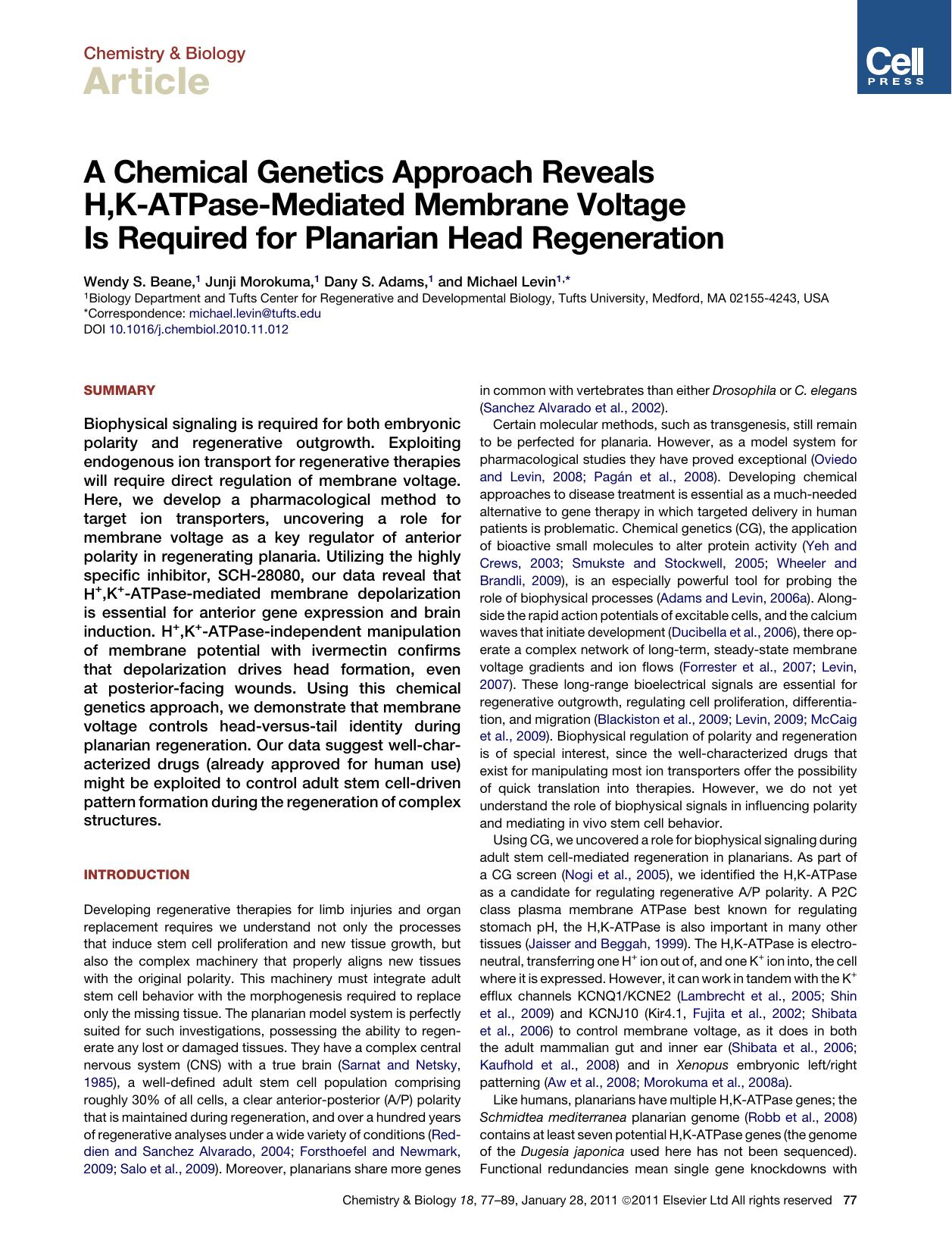 A Chemical Genetics Approach Reveals H,K-ATPase-Mediated Membrane Voltage Is Required for Planarian Head Regeneration by Wendy S. Beane & Junji Morokuma & Dany S. Adams & Michael Levin