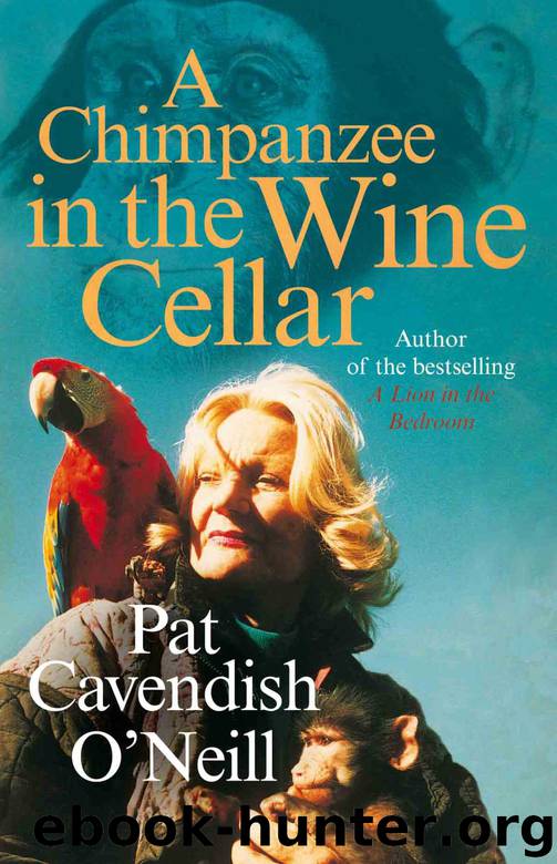 A Chimpanzee in the Wine Cellar by Patricia Cavendish O'Neil