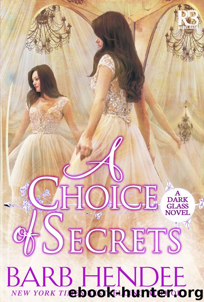 A Choice of Secrets by Barb Hendee