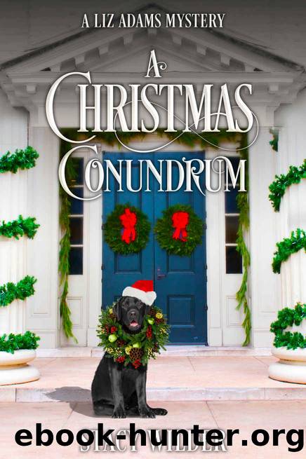 A Christmas Conundrum by Wilder Stacy