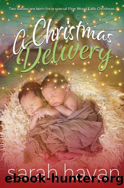A Christmas Delivery by Havan Sarah