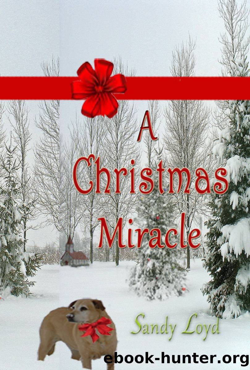 A Christmas Miracle by Sandy Loyd