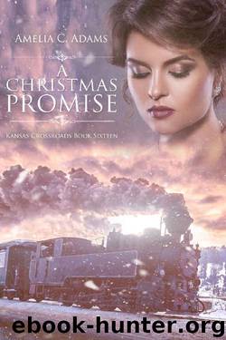 A Christmas Promise (Kansas Crossroads Book 16) by Amelia C. Adams