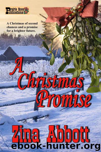 A Christmas Promise by Zina Abbott