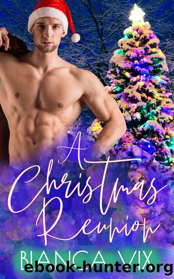 A Christmas Reunion by Vix Bianca
