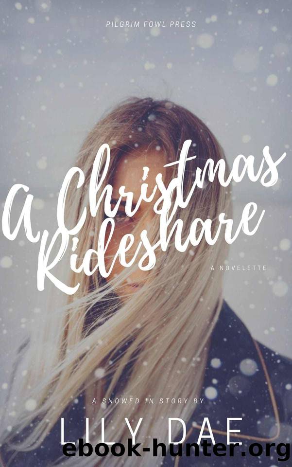 A Christmas Rideshare: A Lesbian Holiday Romance by Lily Dae