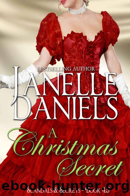 A Christmas Secret by Janelle Daniels