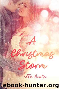 A Christmas Storm by Elle Harte