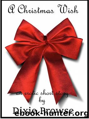 A Christmas Wish by Dixie Prowse