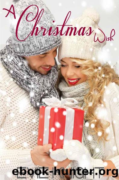 A Christmas Wish by Evie Knight