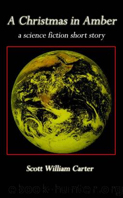 A Christmas in Amber by Scott William Carter