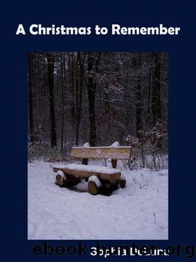 A Christmas to Remember by Sophia DeLuna