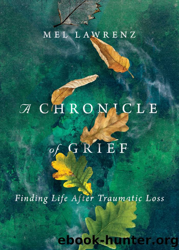 A Chronicle of Grief by Mel Lawrenz