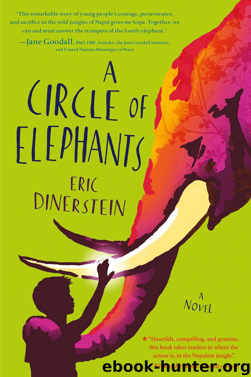A Circle of Elephants by Eric Dinerstein