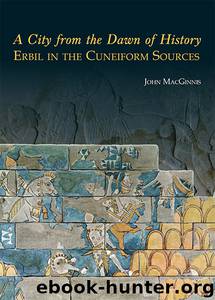A City from the Dawn of History by MacGinnis John;